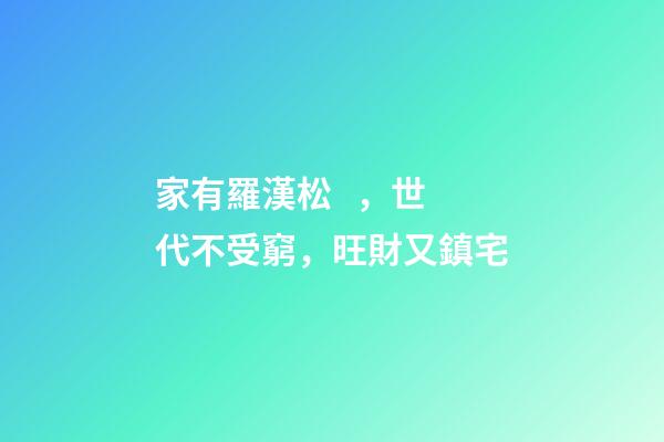 家有羅漢松，世代不受窮，旺財又鎮宅